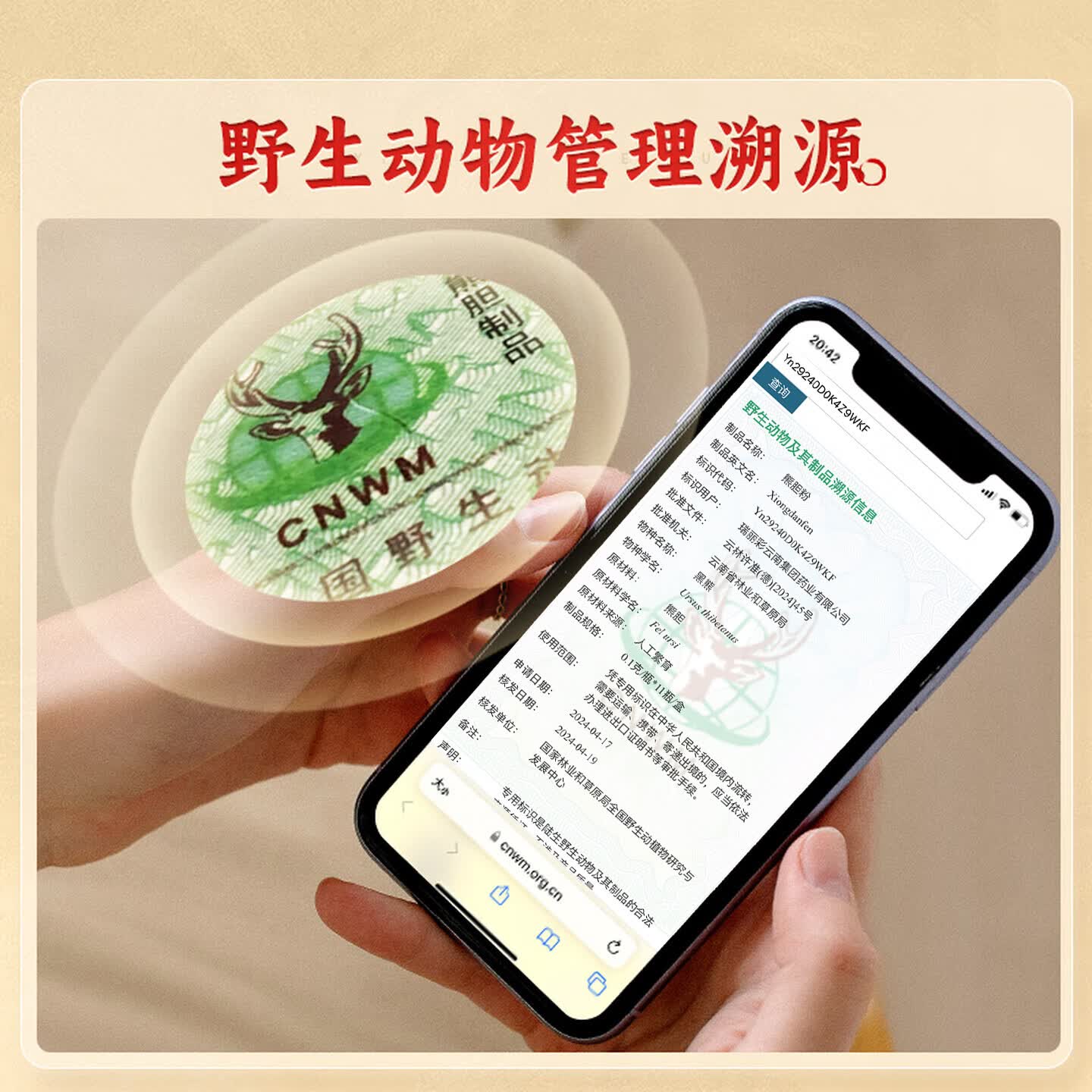 [春和祥 HY]熊胆粉 0.1g*11瓶 3盒装 正品国药准字OTC金胆级的功效护肝养肝明目咽喉肿痛中成药金粉 男士推荐抽烟喝酒口臭