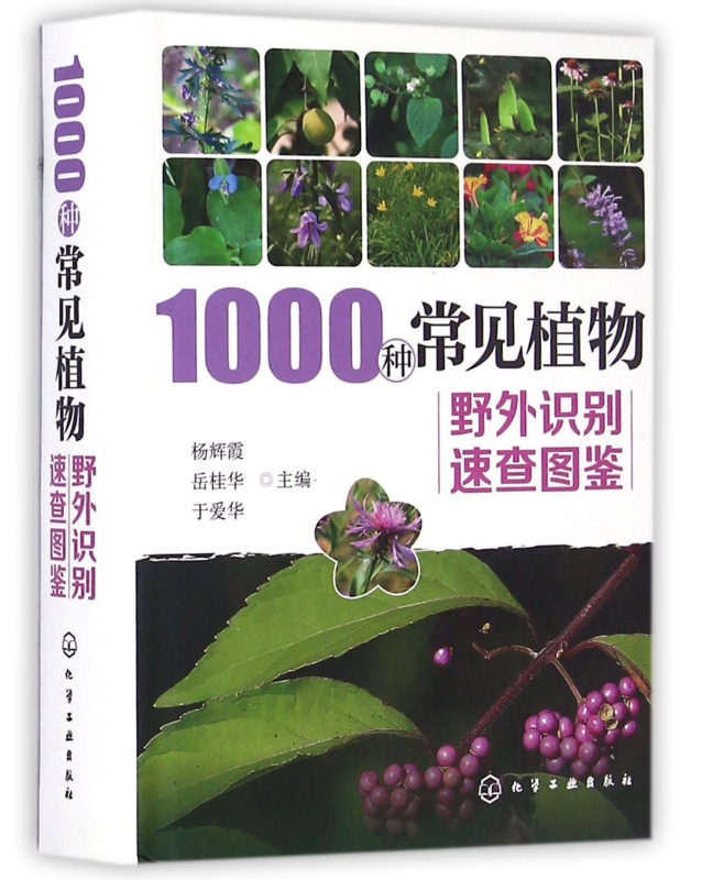 1000种常见植物野外识别速查图鉴(精)