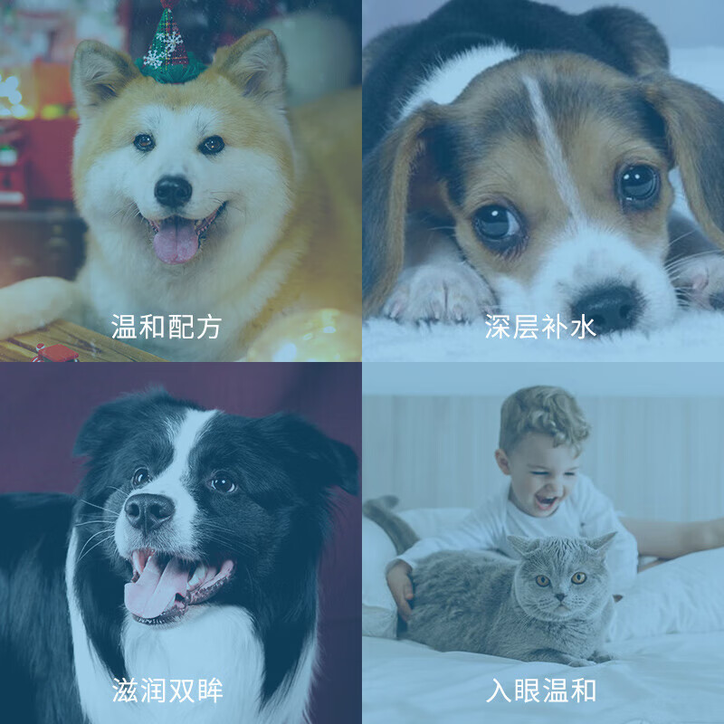 SENTRX美国进口闪粹角膜腐骨修复凝胶眼药水宠物狗猫角膜炎溃疡干眼症 SentrX闪粹凝胶滴眼液5ml