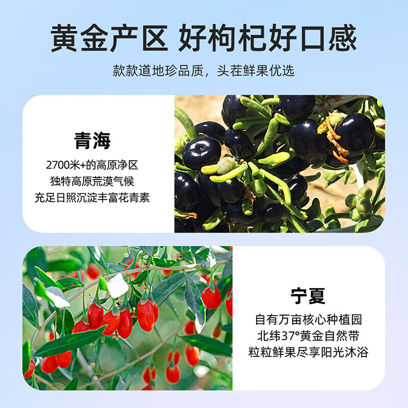 杞里香尝萃红黑枸杞原浆沙棘汁礼盒养生枸杞茶花青素宁夏头茬枸杞滋补品 【超值礼盒】黑红枸杞原浆1.8L/60袋