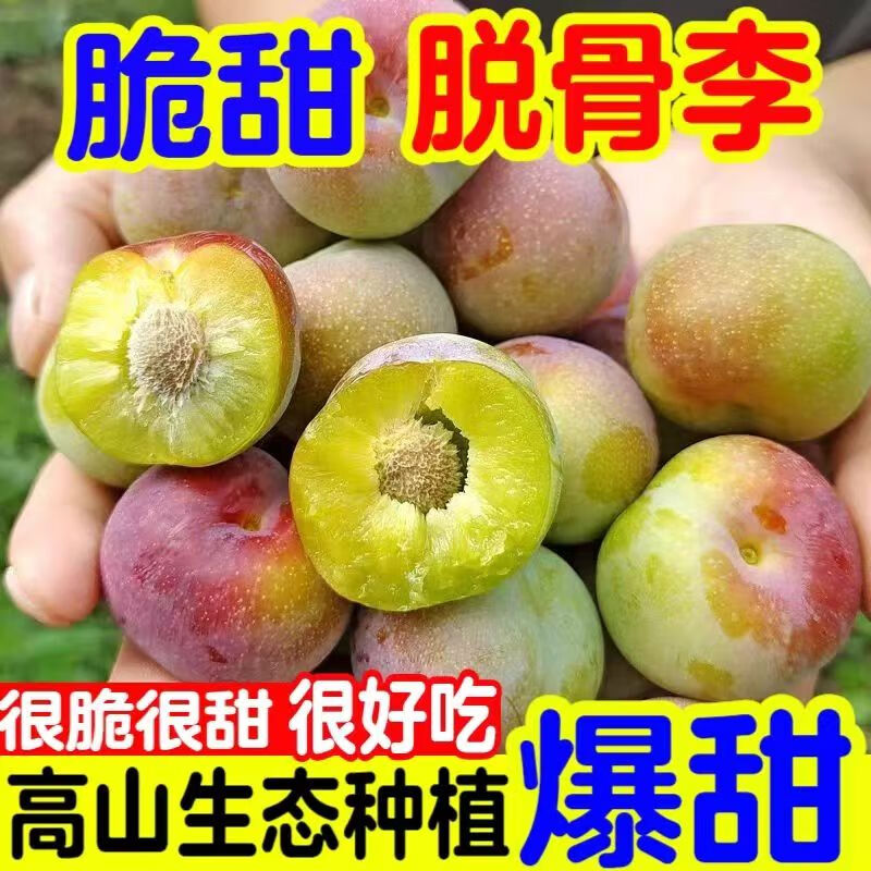 商品图片 1