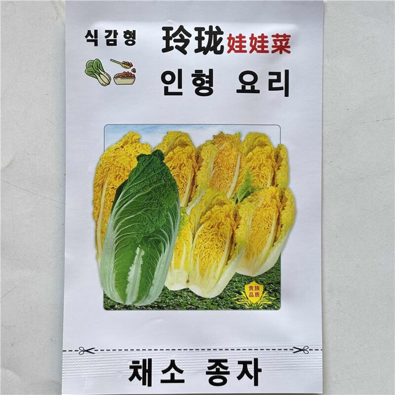 枫麦萱玲珑娃娃菜种子黄心大白菜种子春秋播种黄心大白菜种籽耐抽苔