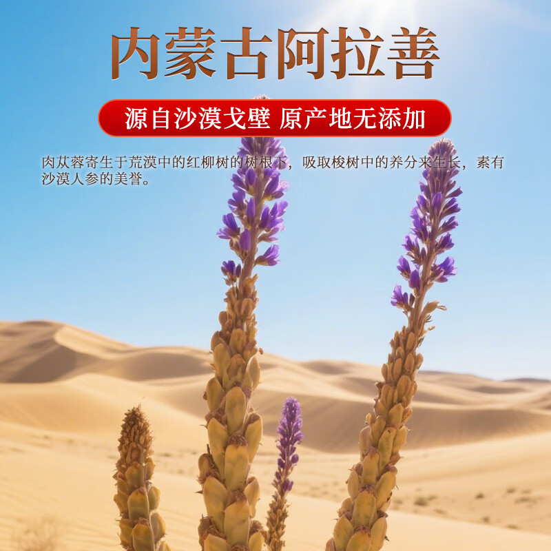 雷允上肉苁蓉片阿拉善肉从容整根大芸鲜干片滋补泡茶泡酒正品旗舰店 【限时尝鲜】 120g*1罐