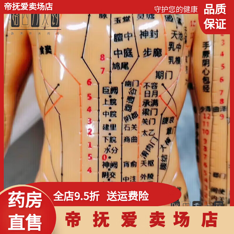 針灸穴位人體經(jīng)絡(luò)模型中醫(yī)十二經(jīng)絡(luò)男女小皮人全身經(jīng)絡(luò)穴位模 古銅色硬模型 40厘米高(男+底座42厘米)
