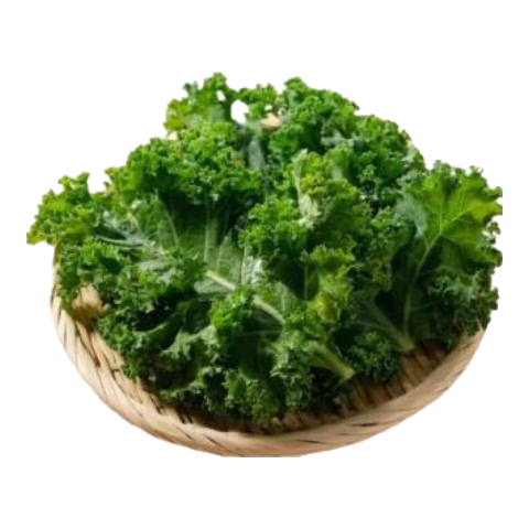 新鲜羽衣甘蓝生鲜蔬菜嫩叶甘兰芥蓝西餐沙拉榨汁减肥减脂直播间 羽衣甘蓝闺蜜2斤净重