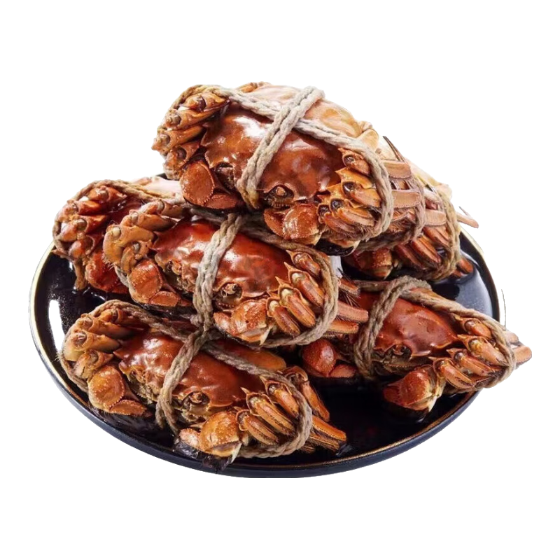 ݼ բзззբз зȫĸ4ֻװ2.5-3.0