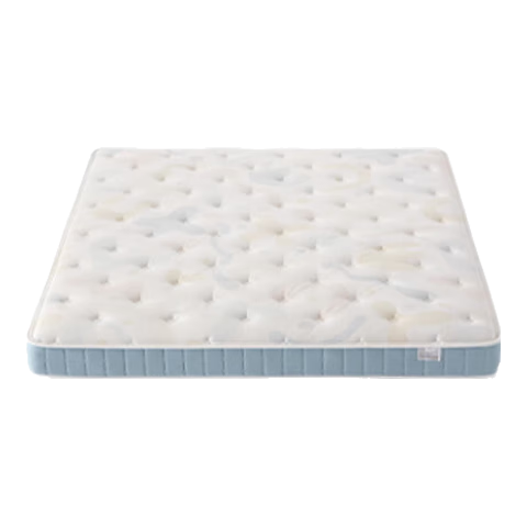 ˹�ְ����ɳ�˫��  ˫��˯��ͯ�����괲�� ��ë���鵯�ɴ��� ��Ȼ������װ ��˫�滤����180*200*16CM 3143.84Ԫ(������)