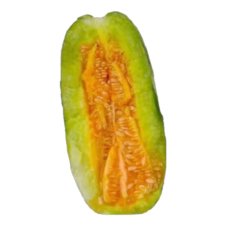 ����� ������������� �ļ��߲� ͥԺ��̨���� 1��Լ100�� 1.01Ԫ