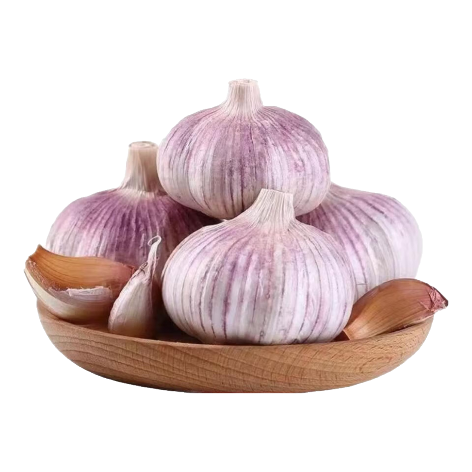 大蒜精装出口蒜出蔬菜水果调料牛肉生蚝小龙虾食材 出口标准网兜装袋5头 110g 中果直径4cm