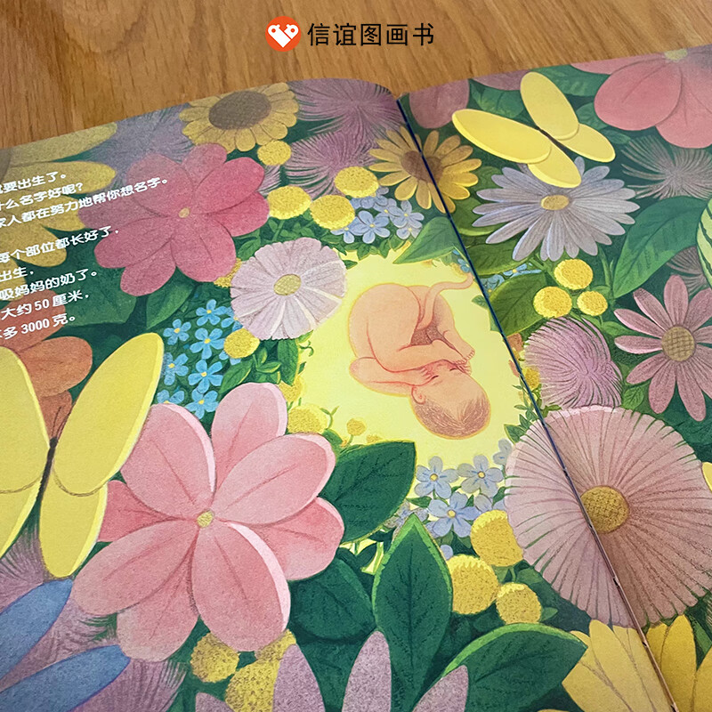 【信谊图书旗舰店】你在妈妈肚子里的时候硬壳精装3-5-6周岁幼儿儿童绘本睡前读物课外阅读童话故事儿童书籍