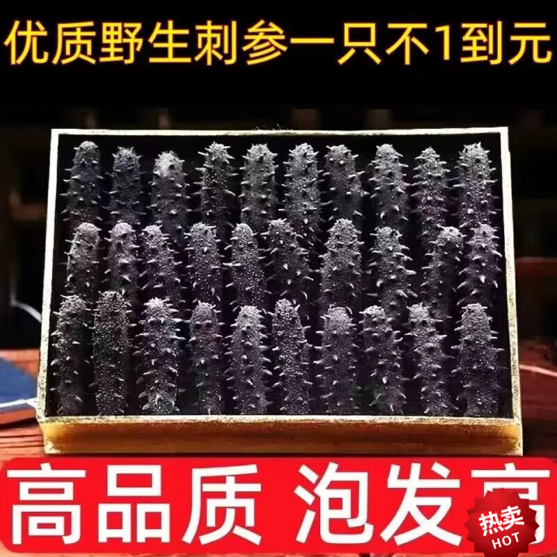 遼參100只純大連海參放心吃干貨淡干海刺參遼參批發(fā) 50只【精品高泡發(fā)】半干刺身 精品深海淡干海參新店開業(yè)大優(yōu)惠