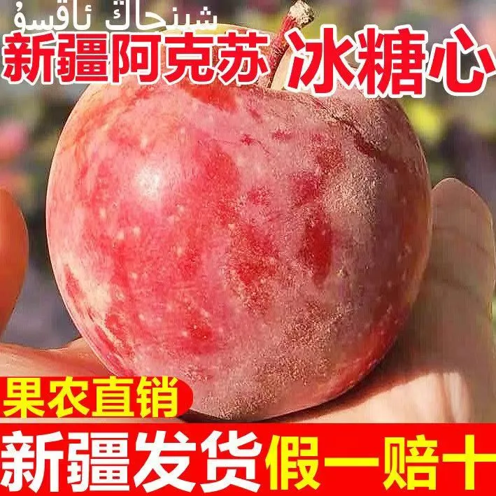 【新疆直发】阿克苏冰糖心苹果丑脆甜红富士苹果当季新鲜水果 带箱9-10斤特大果
