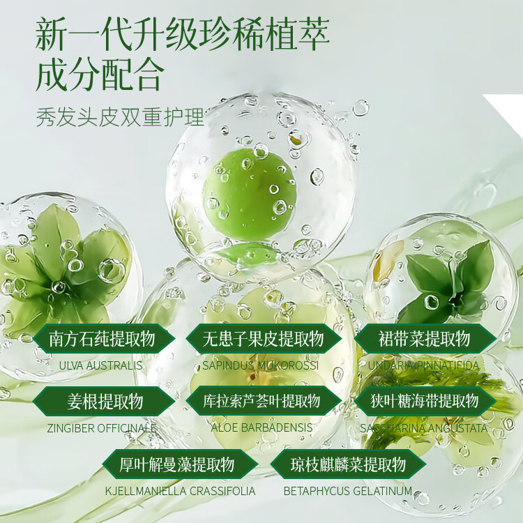 柑气楼日本无硅油控油洗发水修护洗头膏蓬松柔顺洗发露护发套装袋补充装 控油蓬松洗发水袋装500g【控油蓬松柔顺热销款】