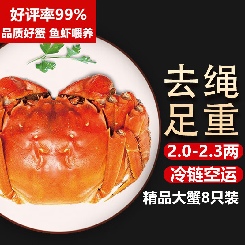 【活蟹】湖鲜阳澄 大闸蟹 去绳足重 2.0-2.3两 8只 鲜活六月黄现货超大螃蟹海鲜礼盒装