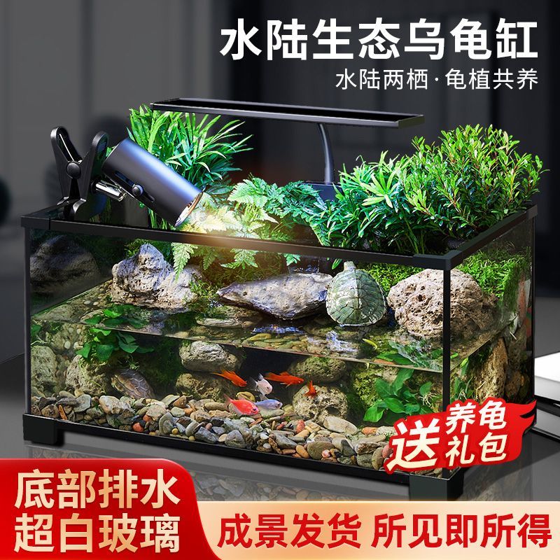 乌龟缸高清玻璃生态造景龟鱼缸一体混养生态缸客厅专用家用饲养缸 60雨林全套【缸+设备】