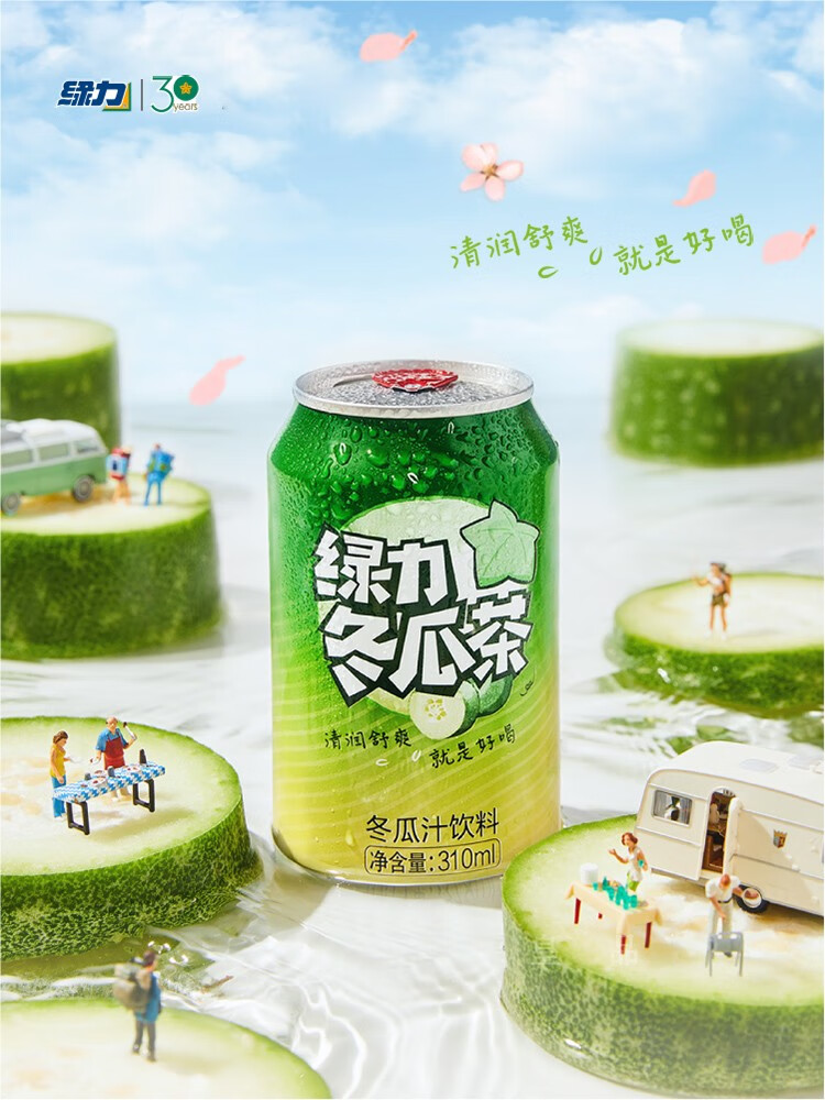 綠力冬瓜茶冬瓜汁飲料310ml*24罐裝箱裝國產(chǎn)果蔬果味飲品 [冬瓜味][310ml*24罐]