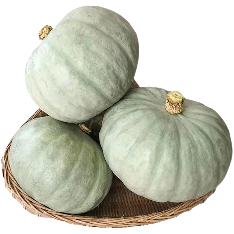 京觅 新疆银栗南瓜 净重4.5斤 单果700g起 粉糯香甜 新鲜蔬菜 包邮
