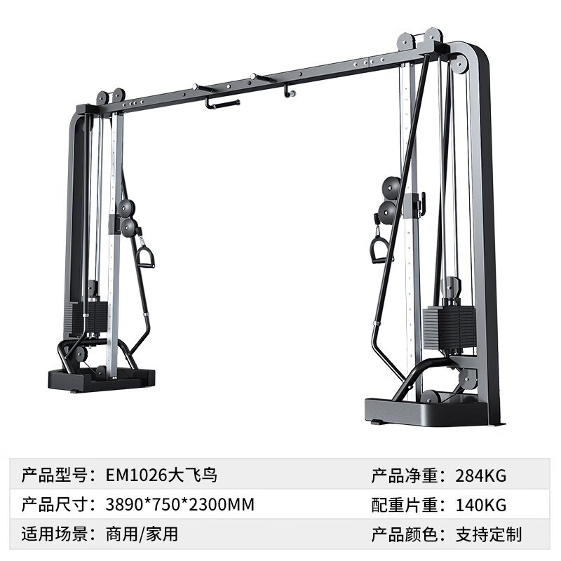 迅榮健身房器械全套商用健身器材蝴蝶機推胸哈克深蹲機高位下拉訓練器 大飛鳥 EM1026