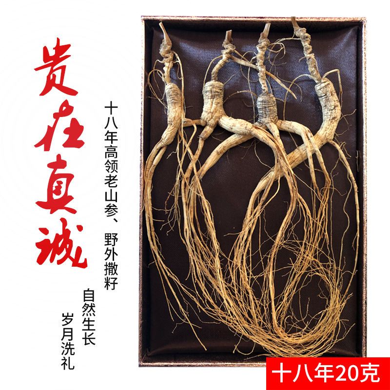 北京同仁堂胖東來品質(zhì)長白山人參高齡參東北林下參20年生曬泡酒正宗禮盒裝干 18年林下參禮盒20克 精挑細(xì)選