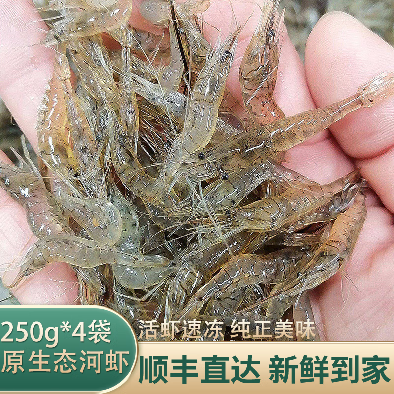 追虾族淡水小河虾 新鲜活虾速冻生态清水草虾父亲节团聚送礼 250g*4袋 1000g(净重)