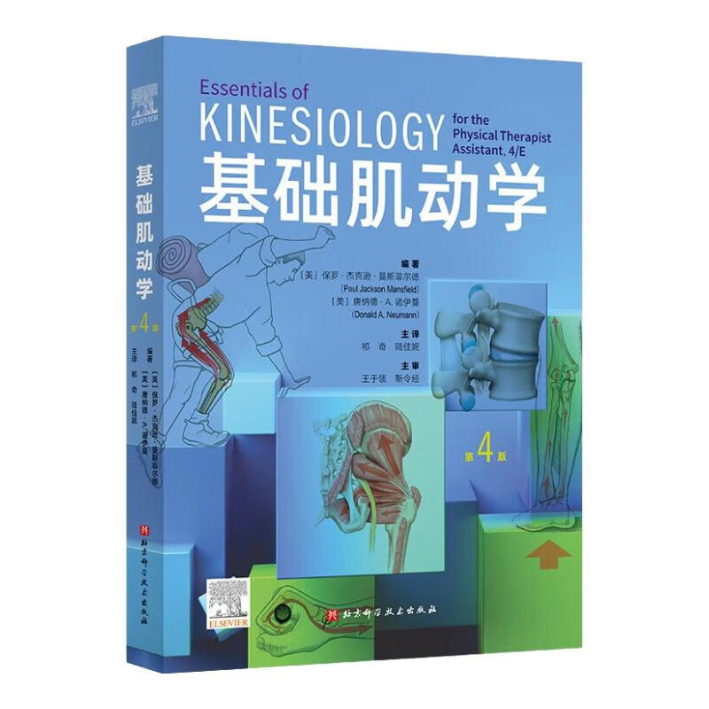 基础肌动学 : 第4版（新版） 运动康复 物理治疗 北京科学技术 解剖列车（第4版）＋基础肌动学