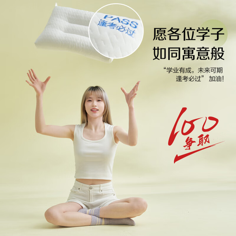 WCZ德国枕头成人护颈枕颈椎病深度睡眠专用高中生大豆纤维学生儿童枕 对装大款 10cm