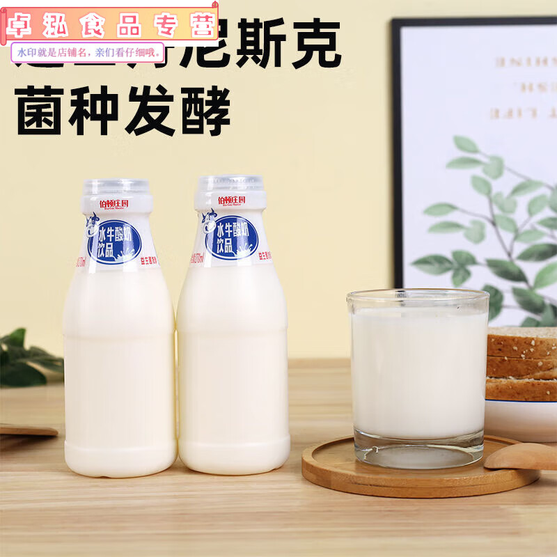 红允伯顿庄园水牛酸奶批发整箱益生菌发酵原味酸奶饮品瓶装牛奶早餐奶