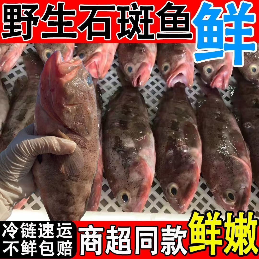 ����ʯ�����Ұ������ʯ�����䶳�ش��ϻ��ߺ�ڰ������˳�� Ұ����ʯ����6��/ÿ��351g-501g 130Ԫ