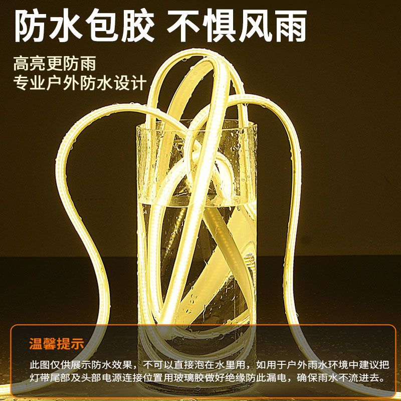 灯护士灯带led灯条户外防水220v高压led氛围灯软灯条超亮软灯带工程高亮 超亮三排/3D弧面防水(白光) 5米+配好插头+防水尾塞