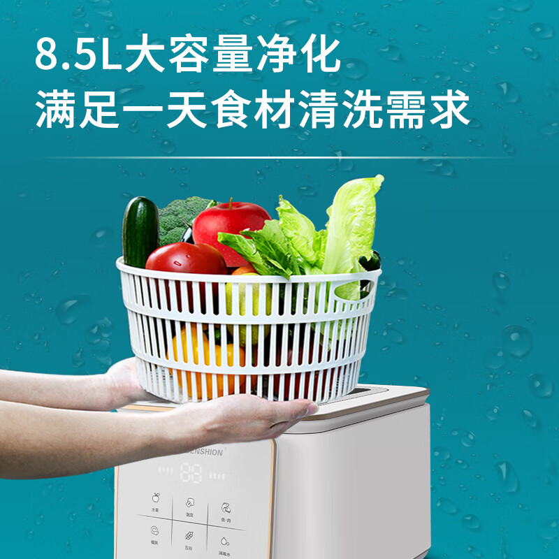 冰尊(BENSHION)果蔬清洗机家用洗菜机除菌99%羟基水离子食材净化机果蔬解毒机净化器M6 机器标配