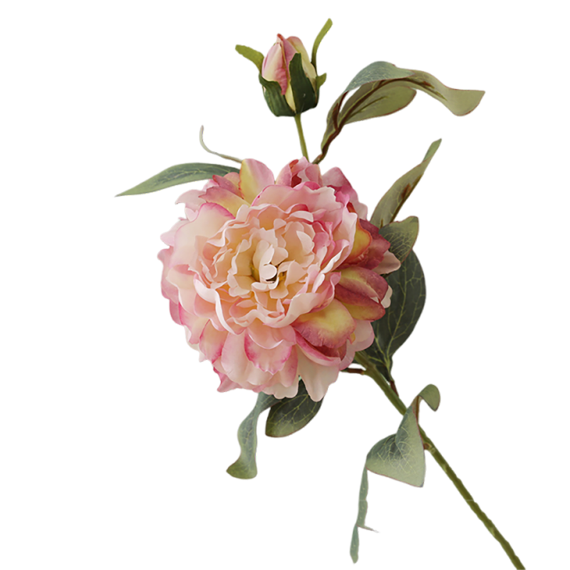 ��ķ�˷��滨�ڼ��߷´��ĵ�������������ǰ̨װ��Ʒǳ��ɫ1֧7503