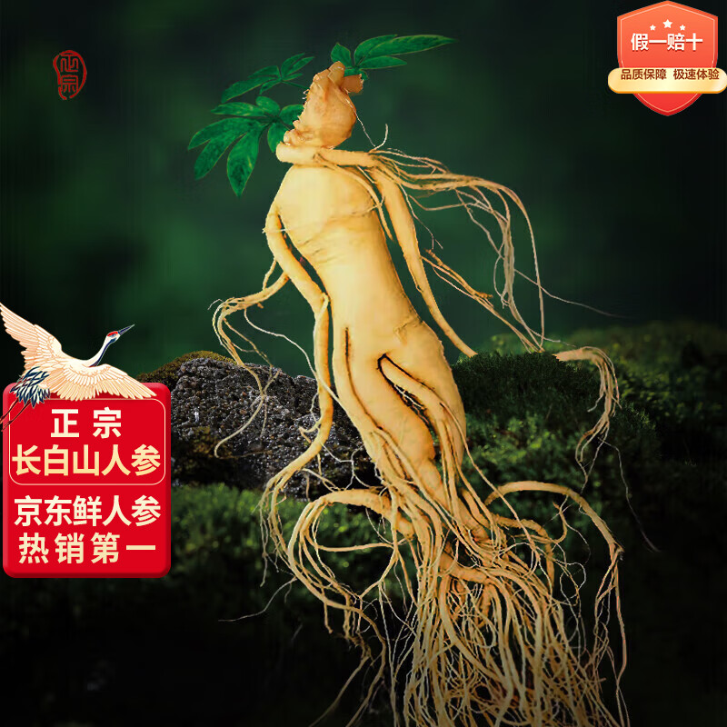 长白山人参鲜人参泡酒材料约5年鲜粮食酒密封保鲜参泡酒煲汤送长辈滋补1支装