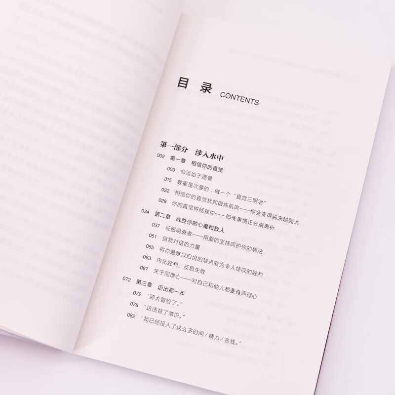 烧掉你的船：将焦虑转化为积极行动的9个策略（智元微库出品）详情图
