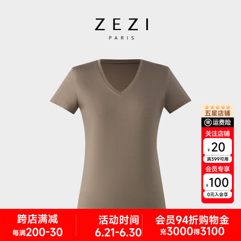 ZEZIzezi莫代爾棉桑蠶絲T恤女圓領(lǐng)修身短袖2025年夏季新款簡(jiǎn)約打底衫 摩卡棕V領(lǐng) M （105-115斤）