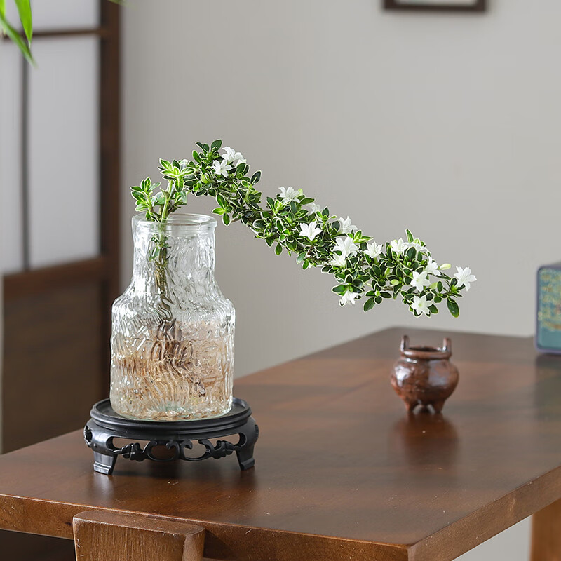 ��ѿ����ѩ����ˮ����ֲ�����辰�칫�����������˺������Ҷֲ��輸 ����ѩ-����ƿ-�ܰ����� ����