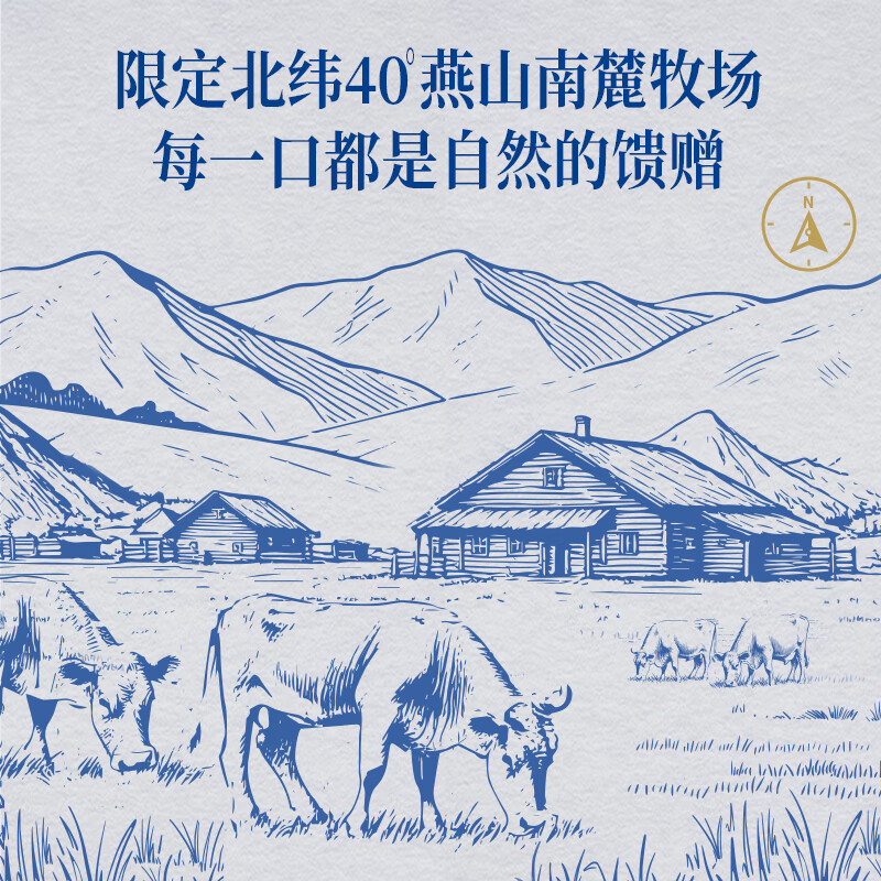 认养一头牛【3.8g乳蛋白】娟姗高钙纯牛奶燕山南麓牧场200ml*12盒 端午礼盒