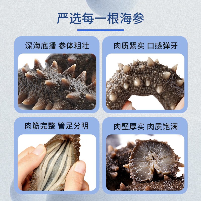 天吉岛大连即食海参底播固形物80%辽参冷链直达送长辈商务滋补佳品礼物 500g【21-27只】个头小数量多经济划算