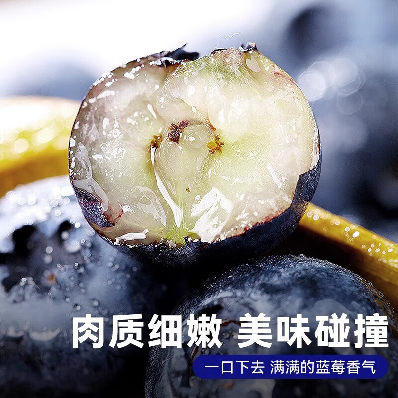 闽农语果云南高山蓝莓【京东-邮政空运多地隔日达】水果现摘送礼孕妇水果 6盒【单果20mm+】125g/盒(净100g)