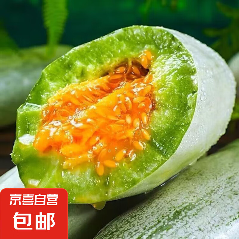 山东头茬博洋61甜瓜脆甜新鲜发货 一斤装