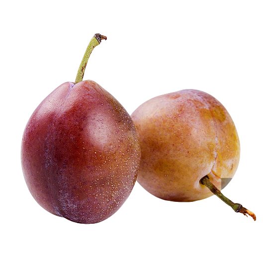 京鲜生 新疆法兰西西梅 净重750g 单果15g+ 新鲜水果 源头直发包邮