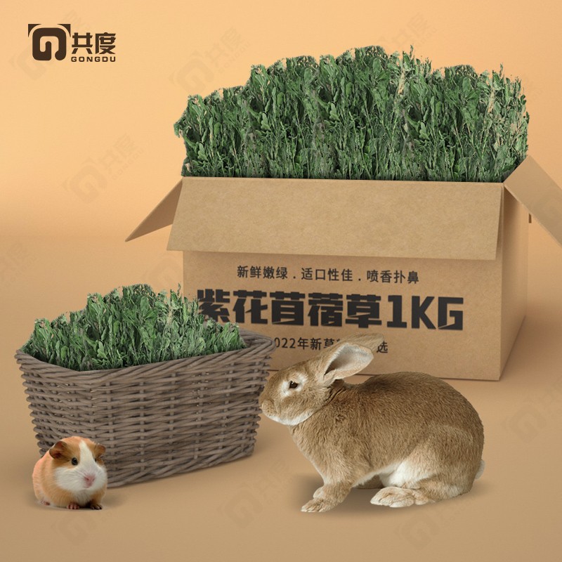 彻底了解一下共度紫花苜蓿草 提摩西草兔粮提摩西草指教？真的是值得买
