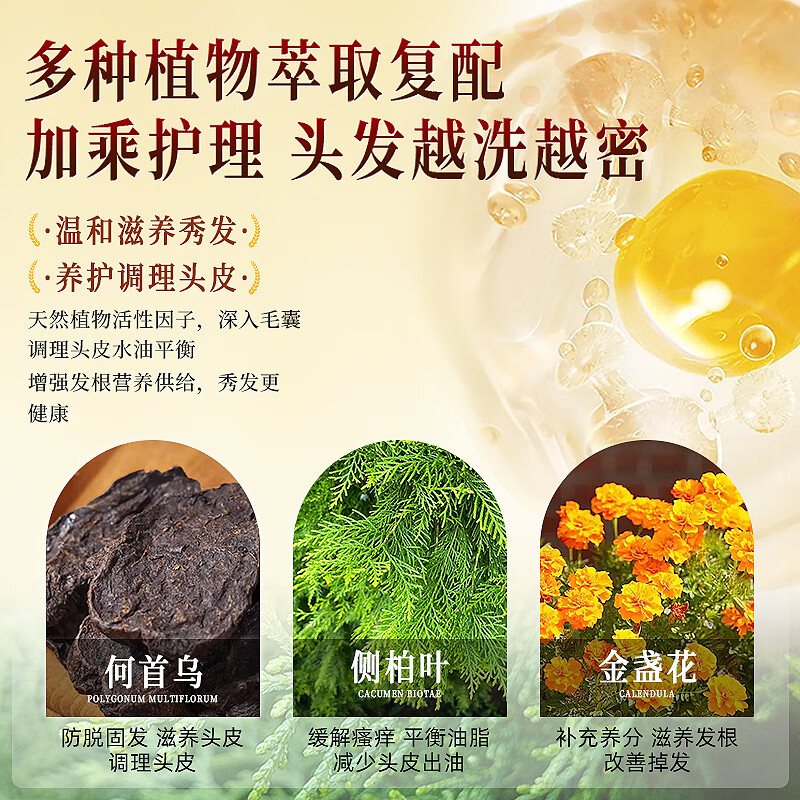 贺澧中药草本精华洗发水育发液防断发滋润蓬松强韧贺澧植物洗发液 防断护发洗发水500ML*2瓶