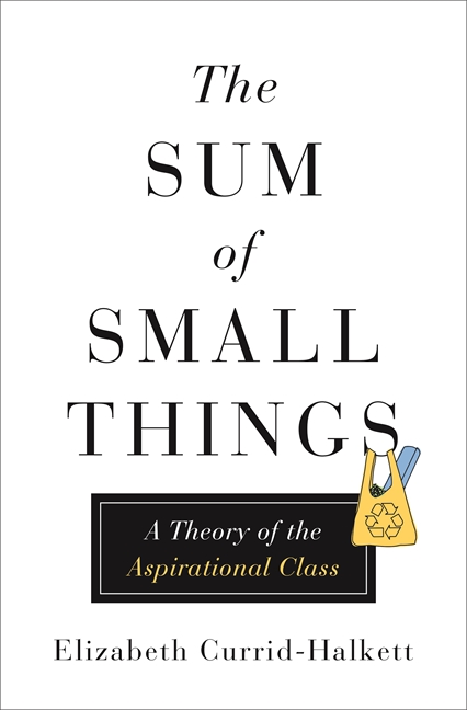 the sum of small things英文原版