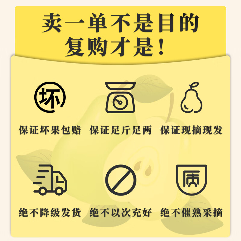鲜其山东莱阳秋月梨新鲜梨子当季现摘现发整箱孕妇水果冰糖梨爆甜多汁 【爆款主推】5斤果王级|单果400g+
