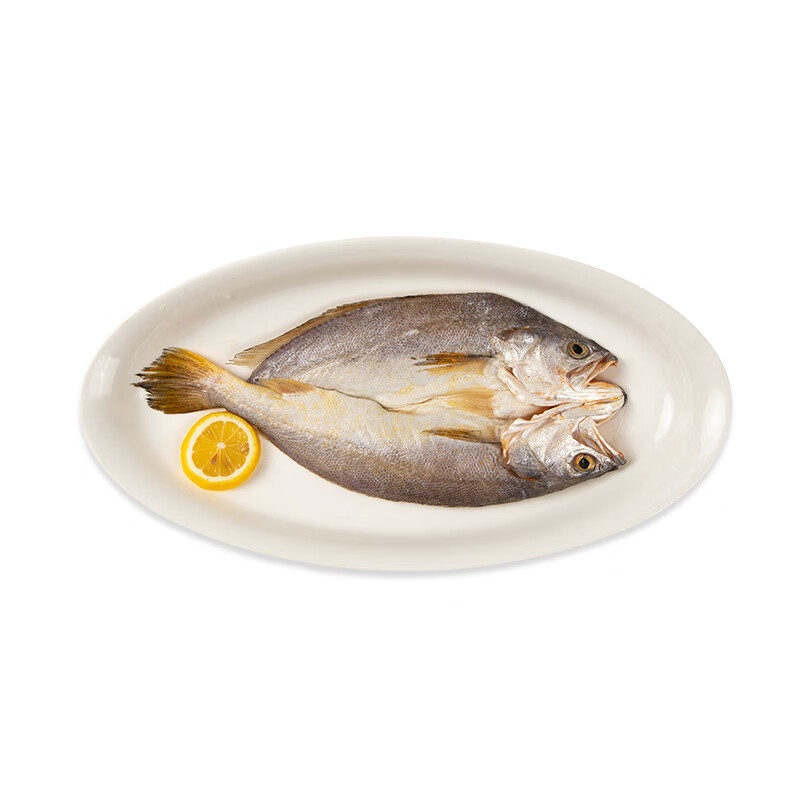 三都港非养殖南美黄鱼鲞净重235-250g*3条海捕三去免调味海鲜生鲜鱼食材 南美黄鱼鲞净重235-250g*3条