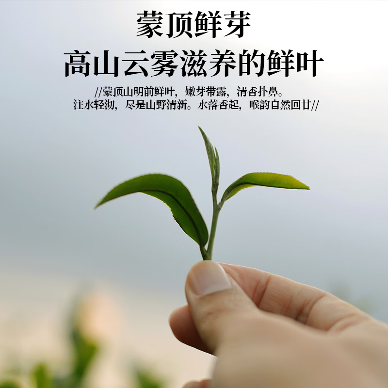 沁心翠茶叶绿茶正宗四川雅安蒙顶山毛峰2025新茶罐装 100g*2(两罐装)