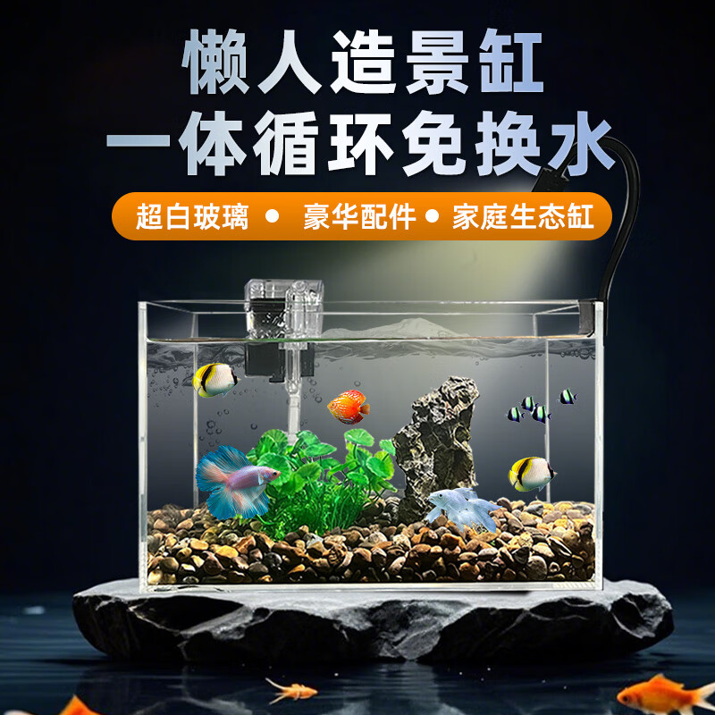 ���������ײ������һ�����ѭ���⻻ˮ����С��������̬���쾰Ϫ����