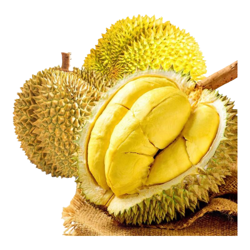 �������� �������� ���ʹ��������� һ����������� ����3-4�� ��3-4�� 99.9Ԫ