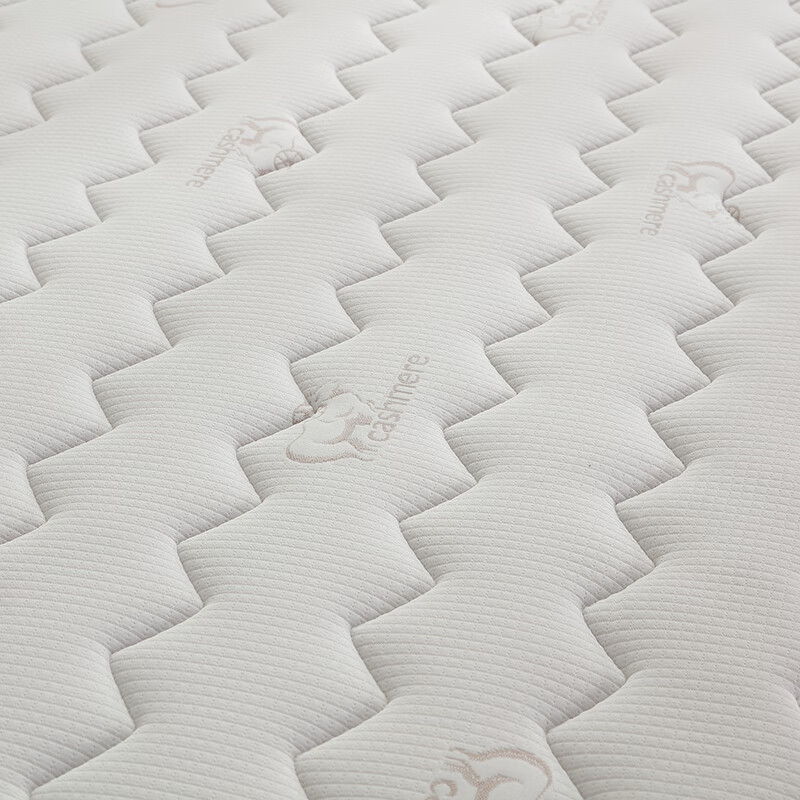 海马天然椰棕黄麻乳胶床垫护脊舒适家用卧室宿舍榻榻米席梦思床垫 3cm椰棕（5cm厚） 1*2米