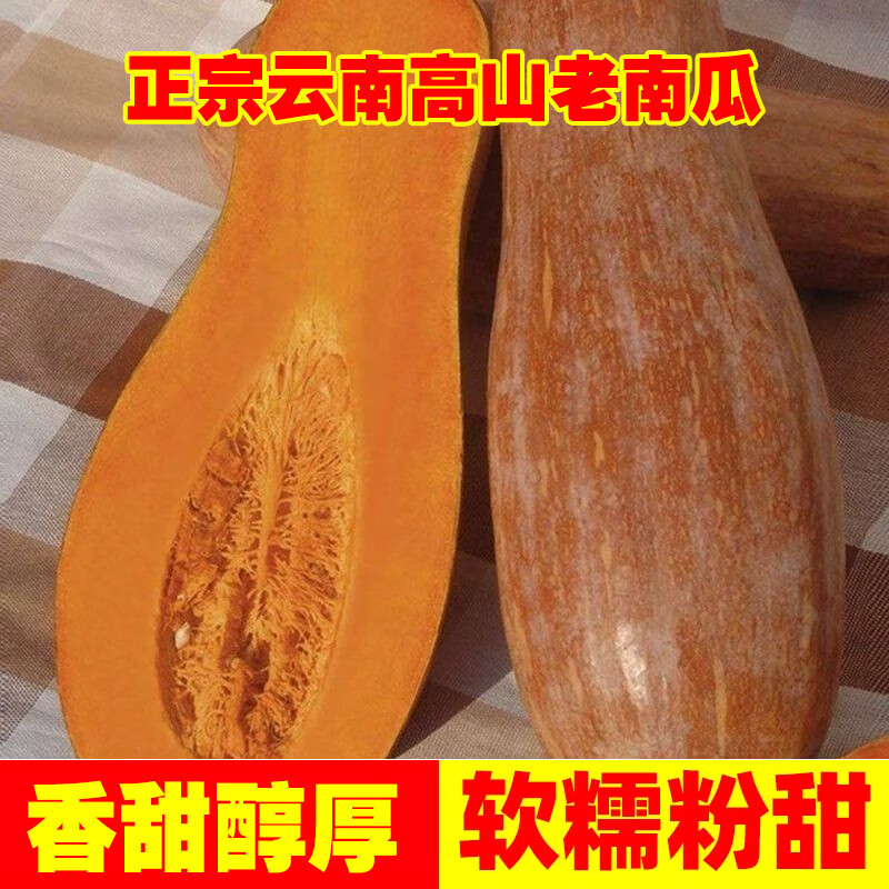 云南老南瓜农家自种当季新鲜粉面甜糯小宝宝辅食整箱蒸煮密本南瓜 老南瓜 8斤 【8-9斤】